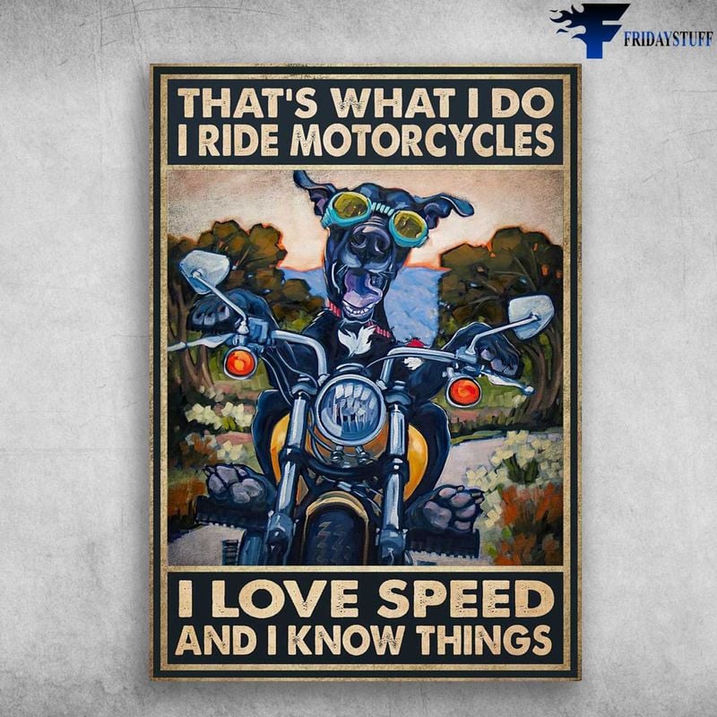 Bikergod Motorcycle That?s What I Do, I Ride Motorcycles Dog Biker Vintage Poster NAIA158